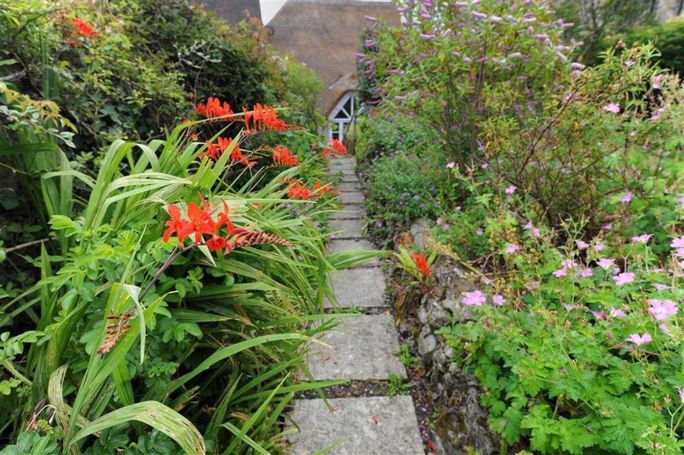 The Nest Villa Lyme Regis Bagian luar foto